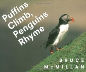 Puffins climb, Penguins rhyme