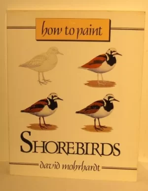 How to Paint Shorebirds