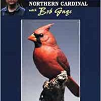 Carving & Painting Northern Cardinal with Bob Guge
