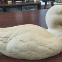 Pat Godin Blue Winged Teal Study Cast