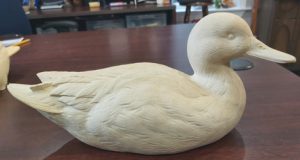 Pat Godin Blue Winged Teal Study Cast