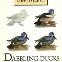 How to Paint Dabbling Ducks